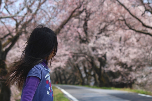 a5d5550f92a0af63b6022408cb9aff97_s
